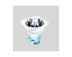 American DJ ZB-MSD Platinum 12R LL