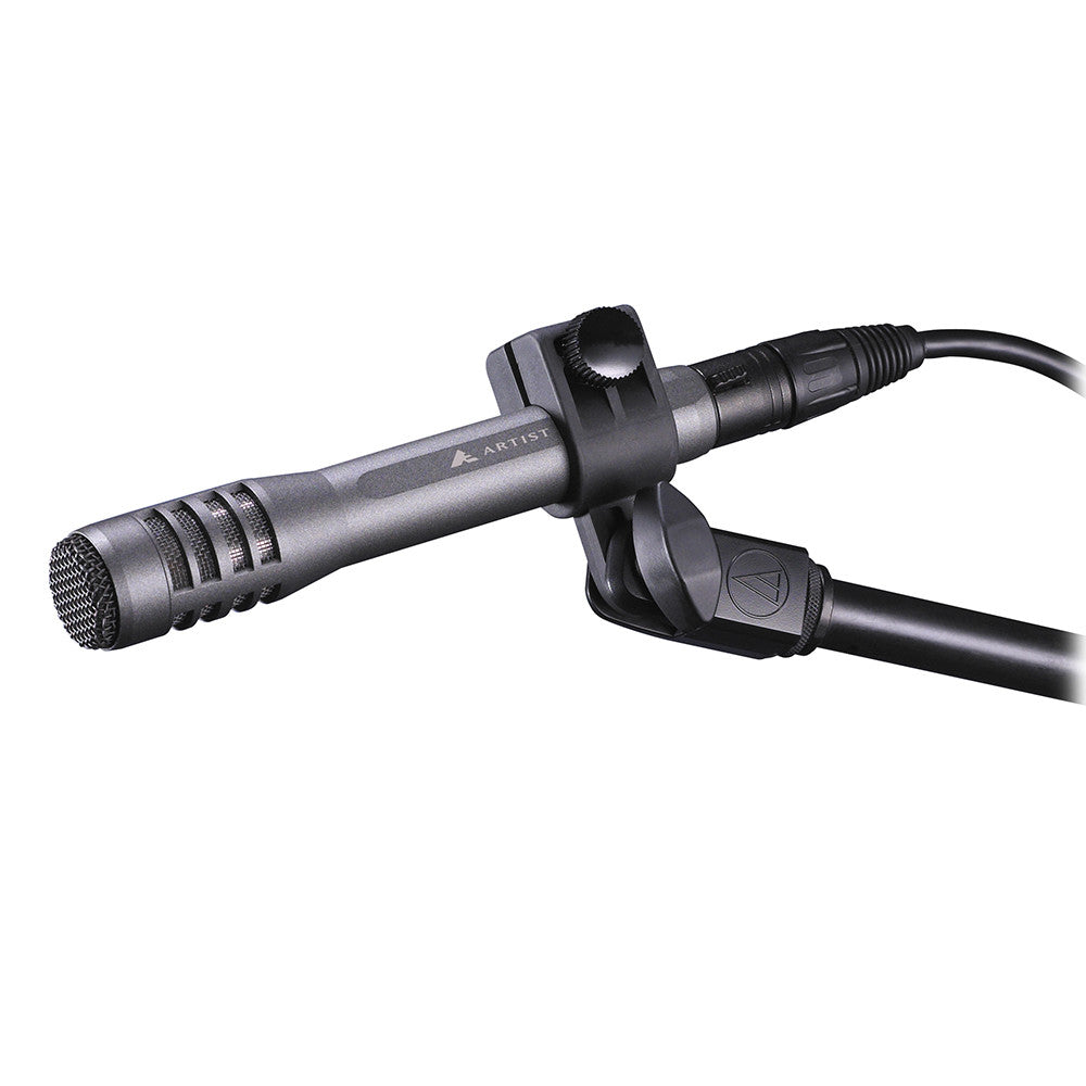 Audio Technica AE5100