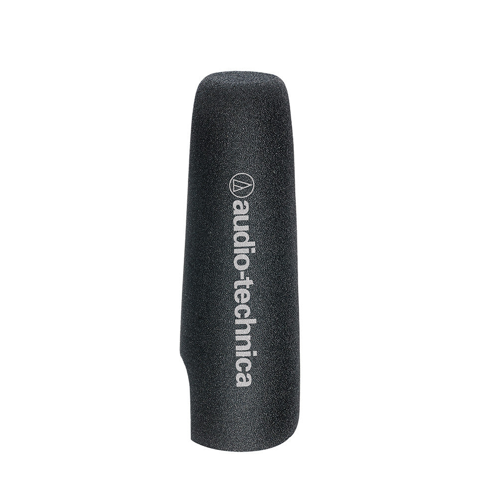 Audio Technica AT8024
