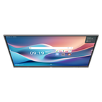 Vivitek BK753I