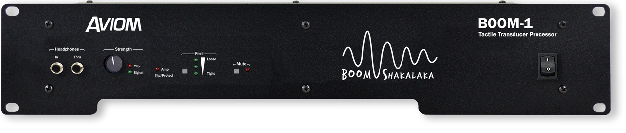 Aviom BOOM-1