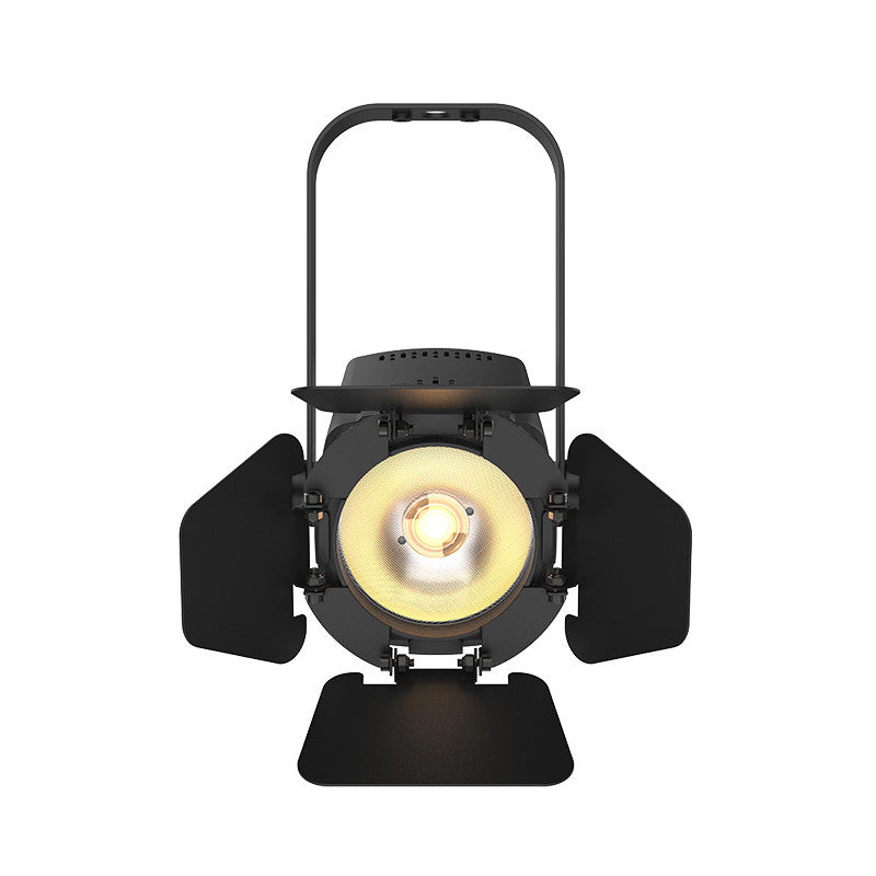 Chauvet DJ EVETF20X