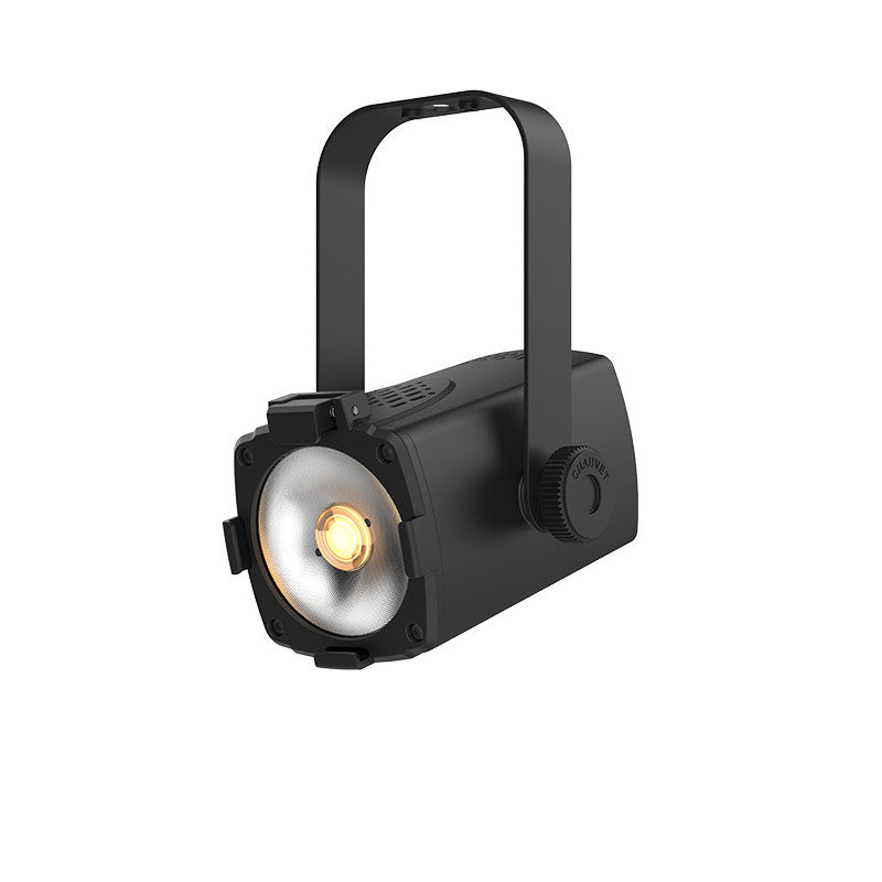 Chauvet DJ EVETF20X