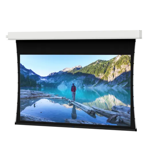 DA-LITE 29904FLS