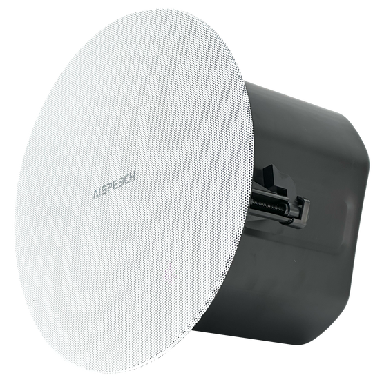 AI Speech DC20 Dante speaker