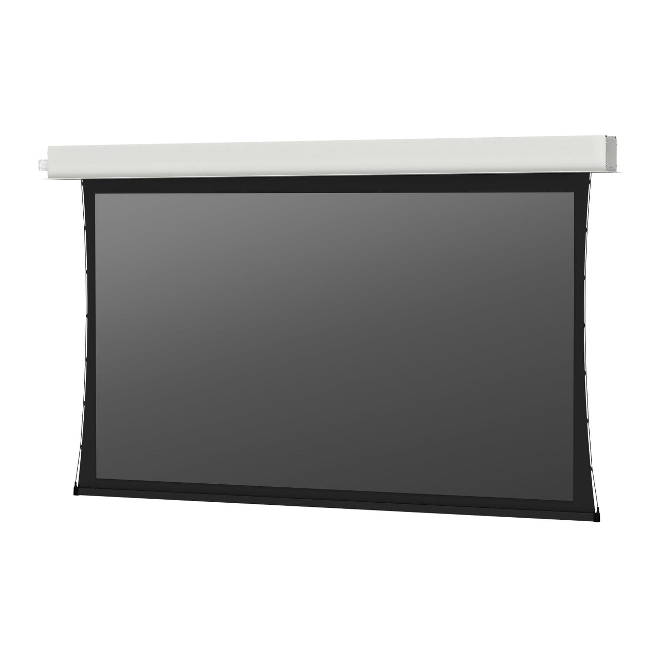 DA-LITE 29905BLS