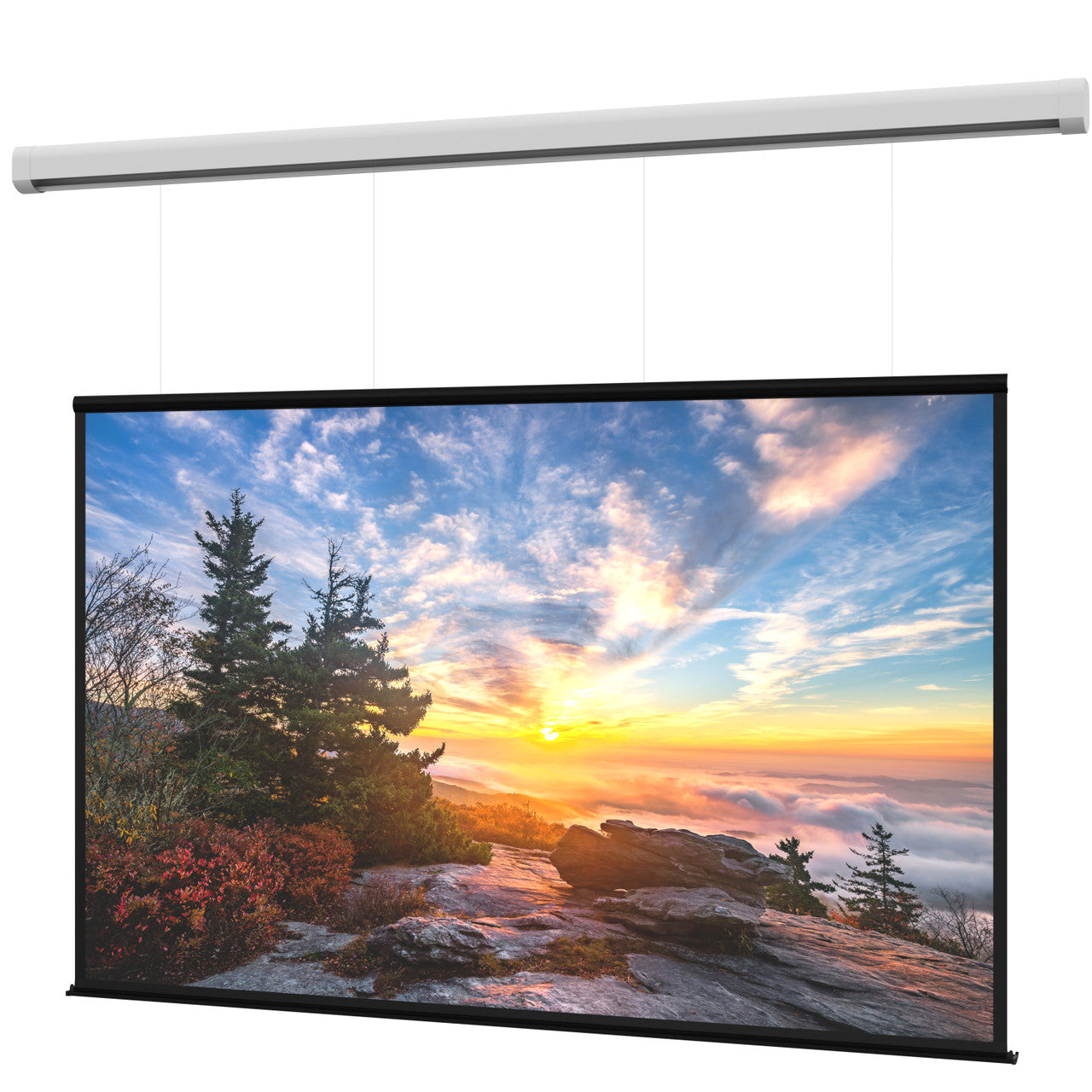 DA-LITE DL100135L
