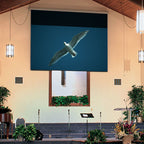 Draper 116404U