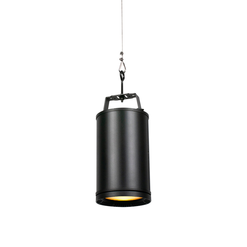 Elation Fuze Pendant (HW)