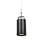 Elation Fuze Pendant (HW)