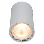 Elation Fuze Pendant WH