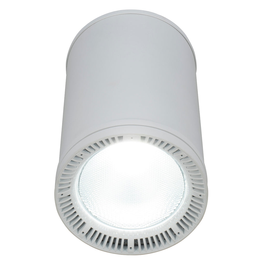 Elation Fuze Pendant WH