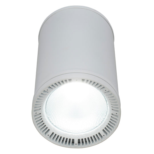 Elation Fuze Pendant WH