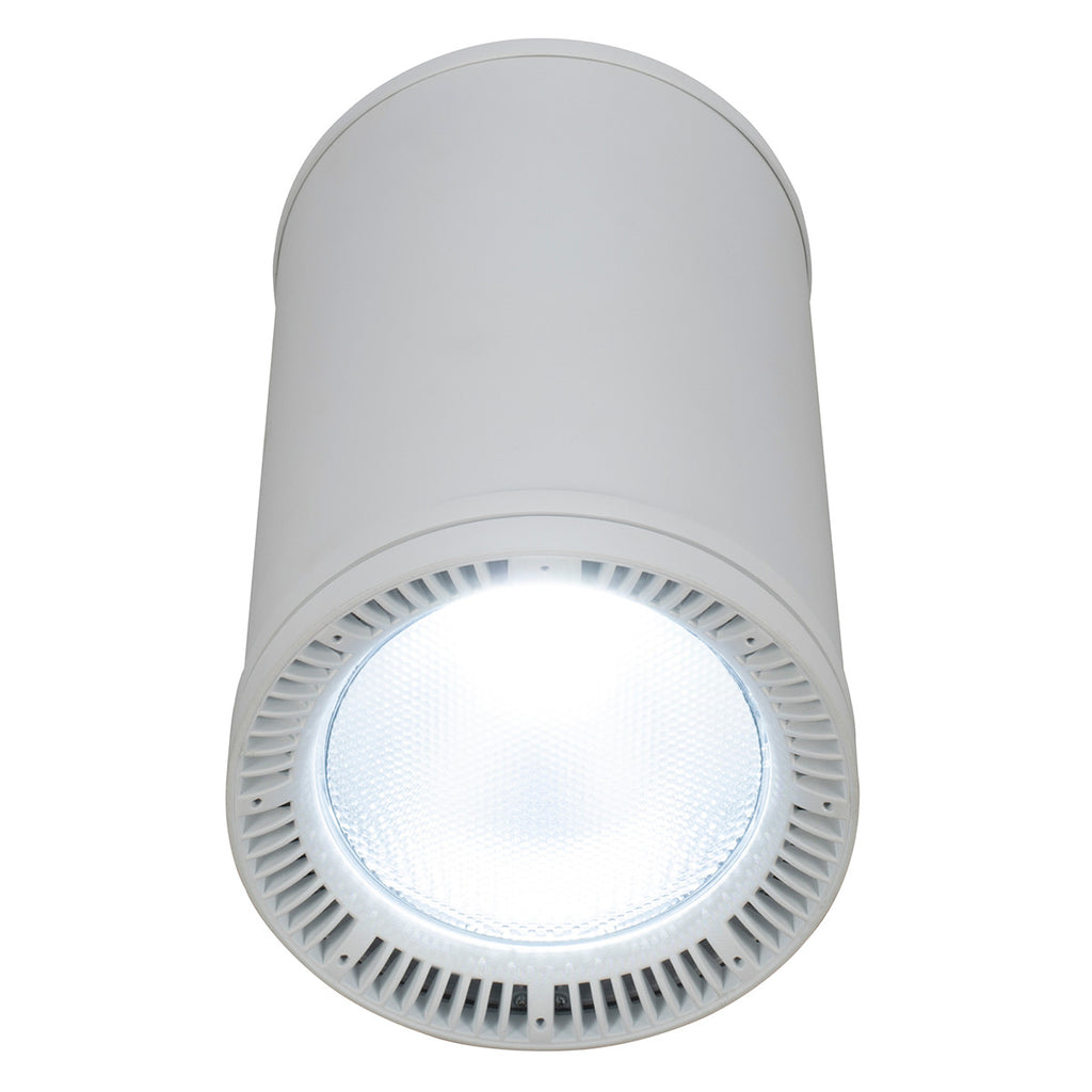 Elation Fuze Pendant WH