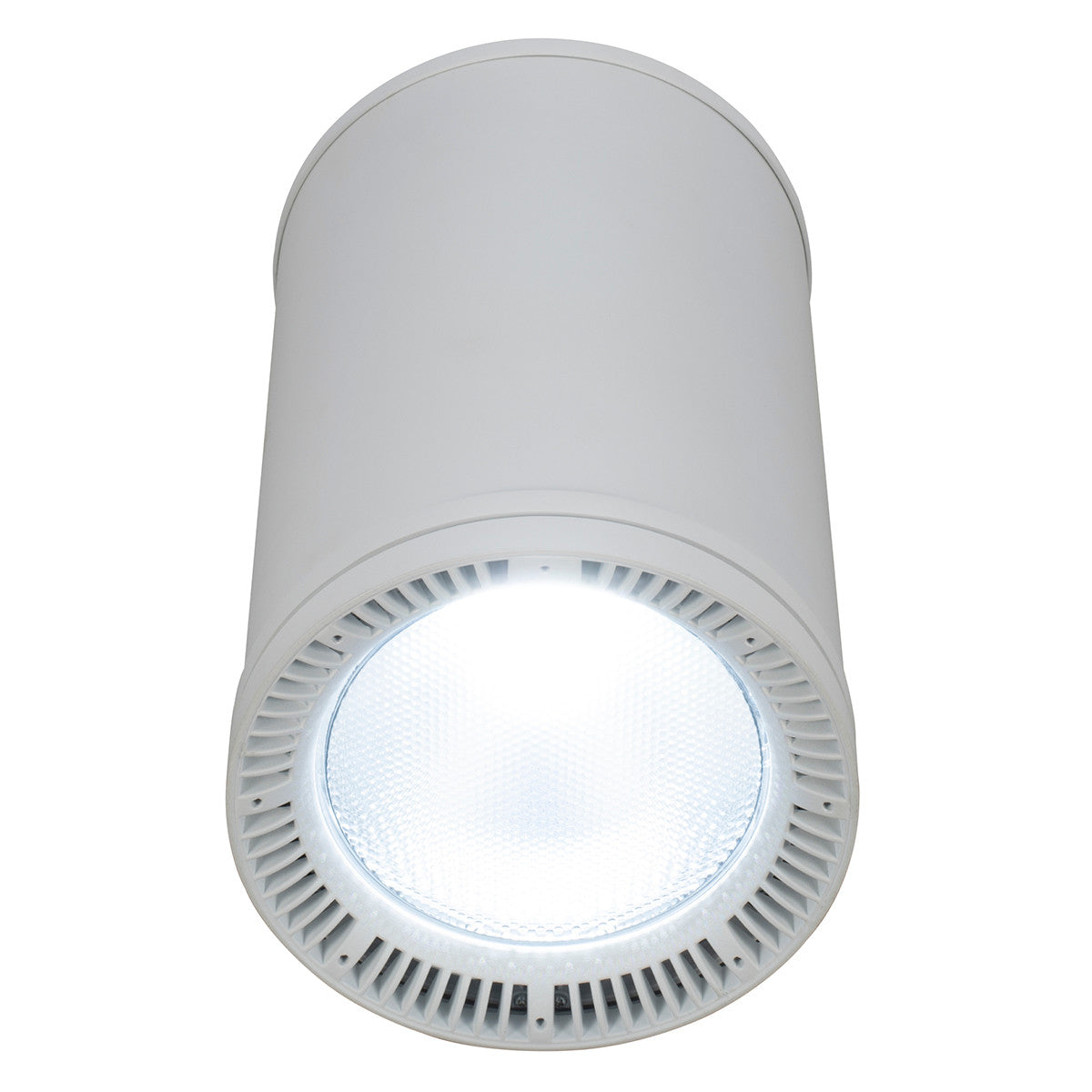 Elation Fuze Pendant WH