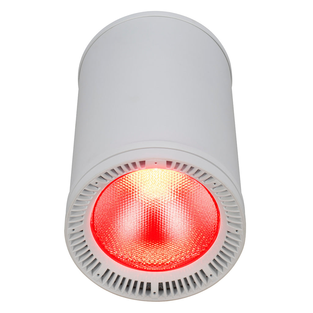 Elation Fuze Pendant WH