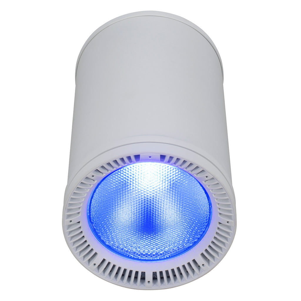 Elation Fuze Pendant WH