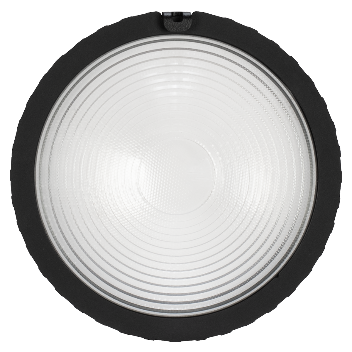 Elation KL PAR Ovalizer Lens