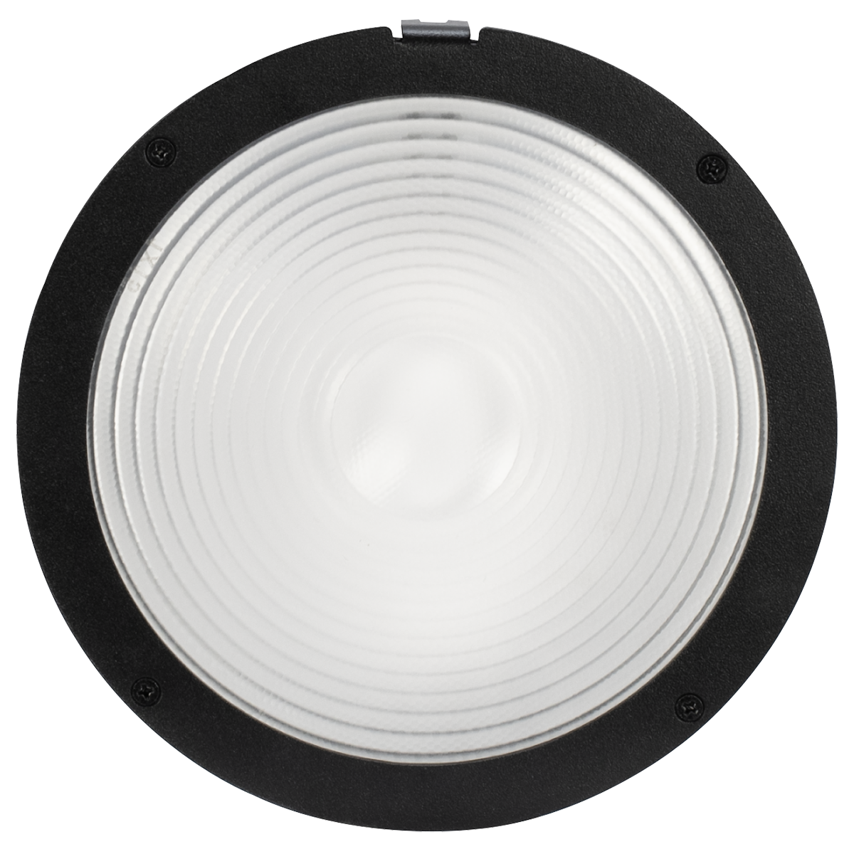 Elation KL PAR Ovalizer Lens