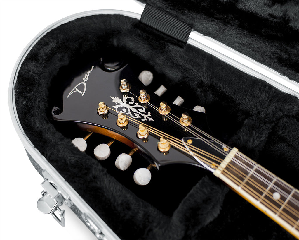 Gator GC-MANDOLIN