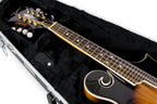 Gator GC-MANDOLIN