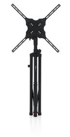 Gator GFW-AV-LCD-25