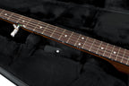 Gator GL-BANJO XL