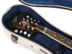 Gator GW-JM MANDOLIN
