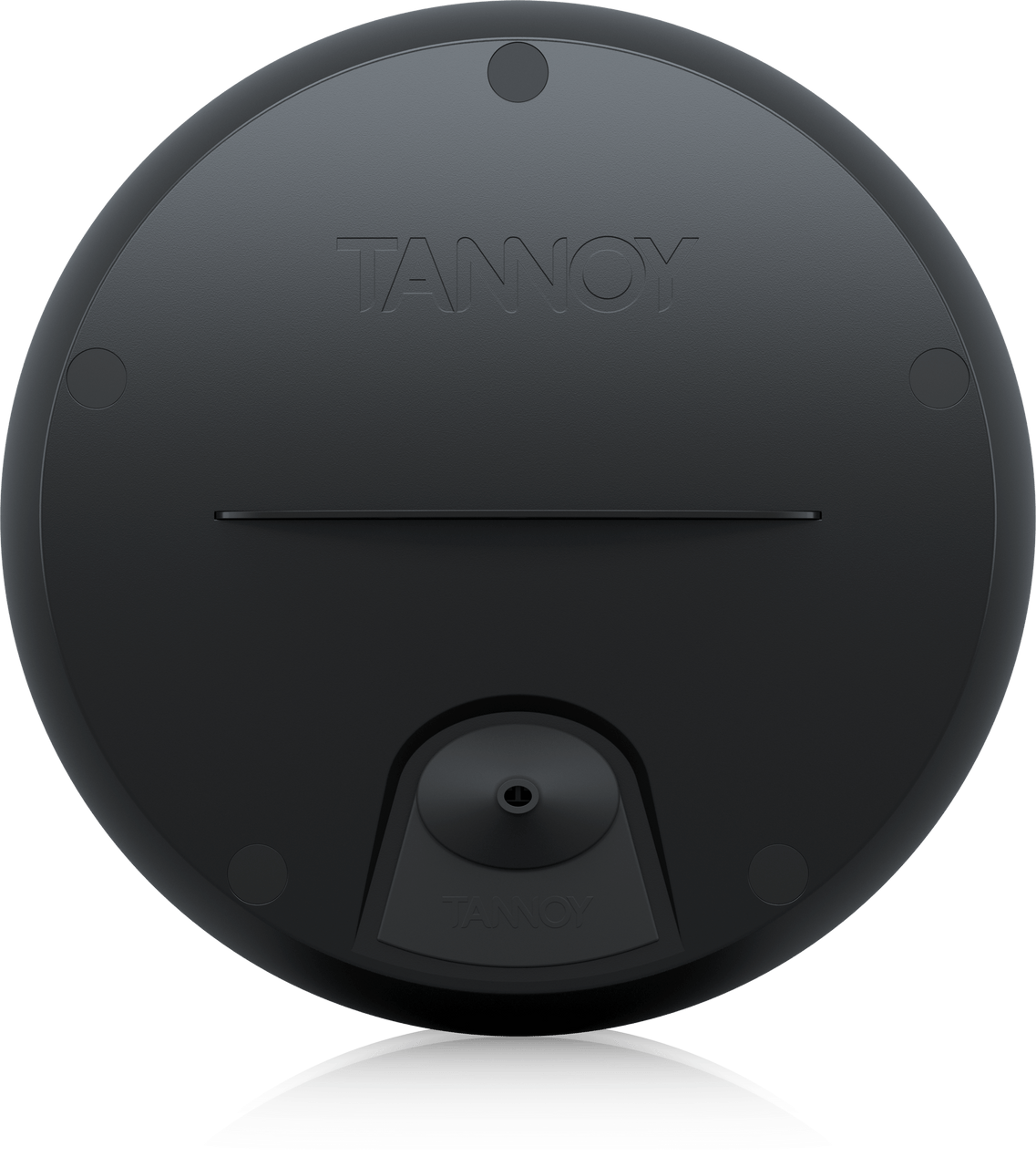 Tannoy TAN-OCV8-BK