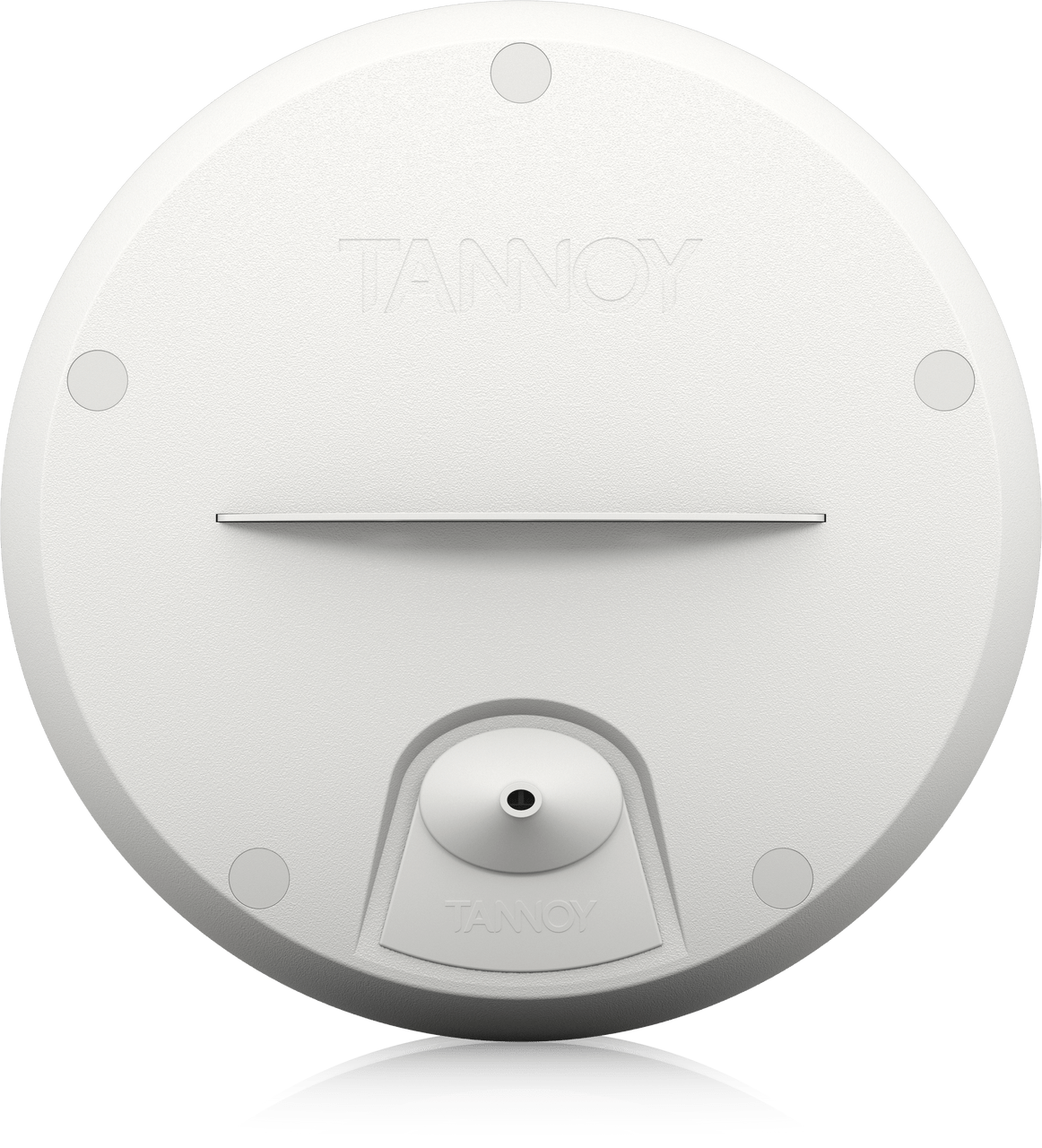 Tannoy TAN-OCV8-WH