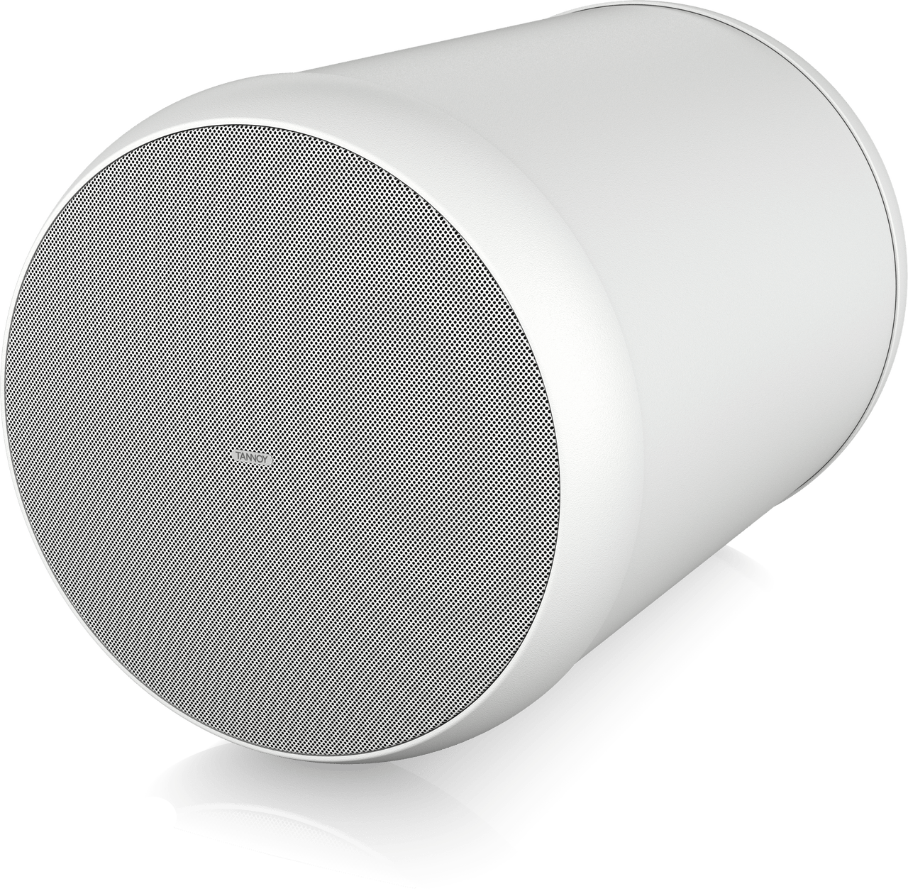 Tannoy TAN-OCV8-WH