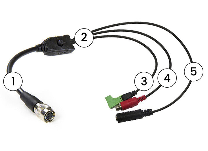 Marshall CV-BSE-CBLE