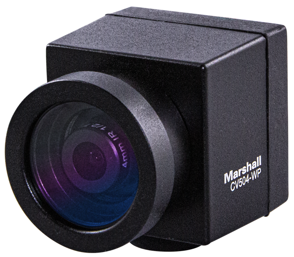 Marshall CV504-WP