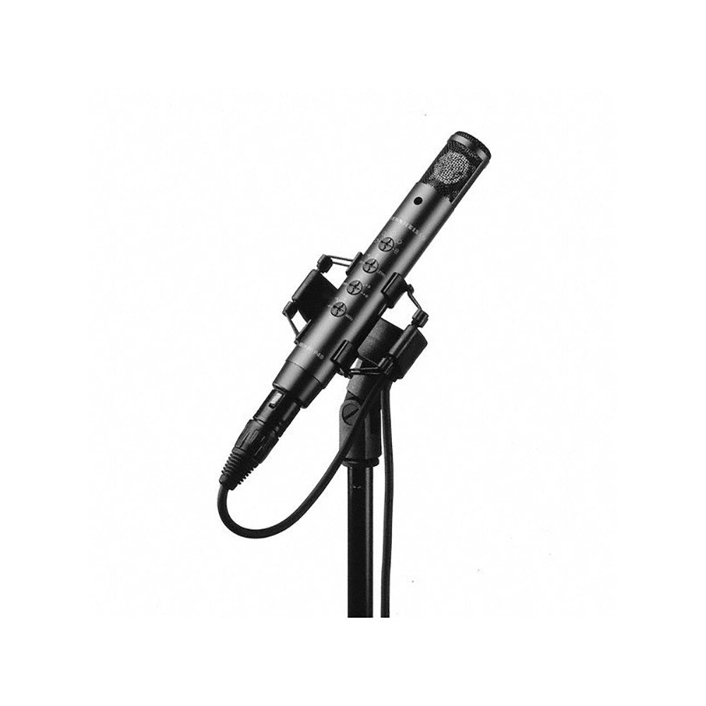 Sennheiser MZS 80