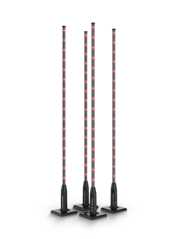 Chauvet DJ FREEDOMSTICKX4