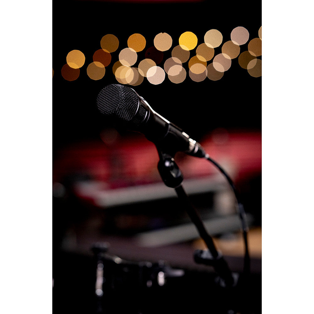 Shure NXN8/C