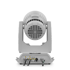 Chauvet Pro ROGUEOUTCAST1BWM