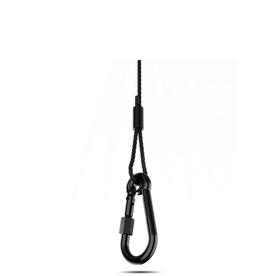 Chauvet Pro SC08-2