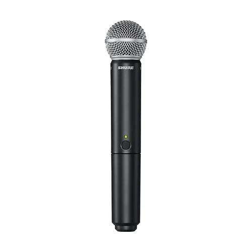 Shure BLX288/SM58-H10