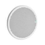 Shure MXA901W-R