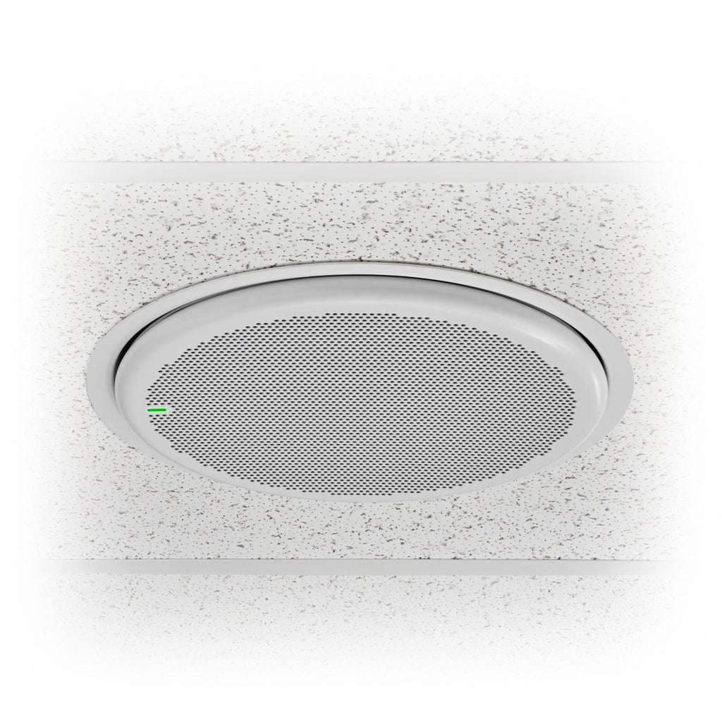 Shure MXA901W-R