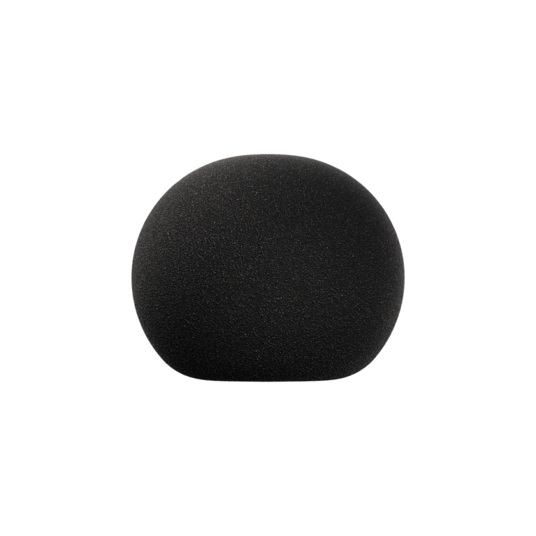 Sennheiser MZW 8030
