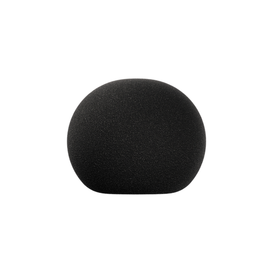 Sennheiser MZW 8030