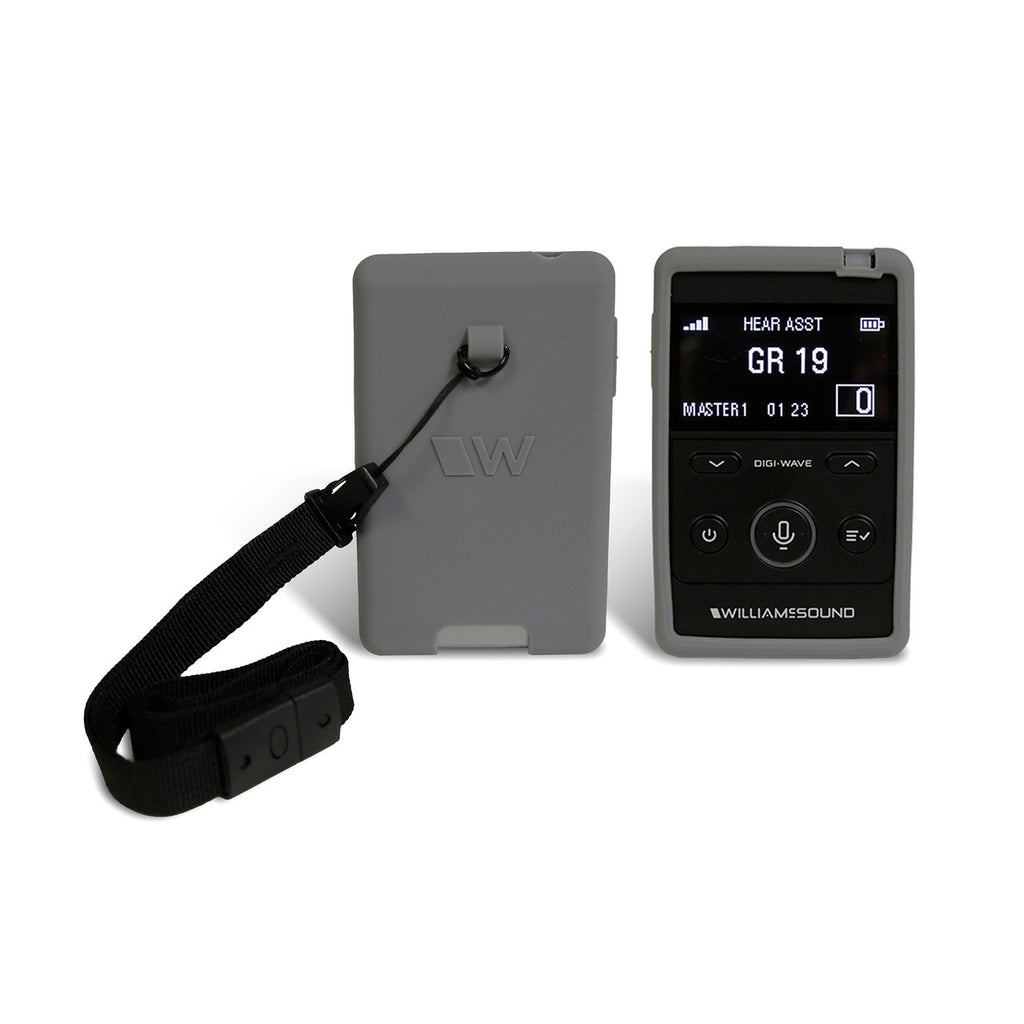 Williams Sound DW SYS1AIM-00