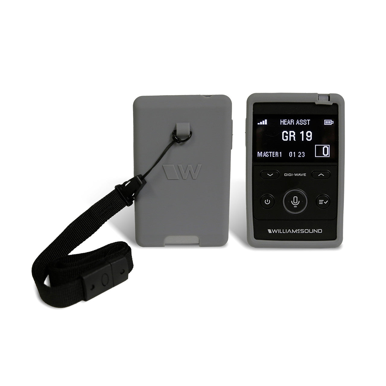 Williams Sound DW SYS1AIM-00