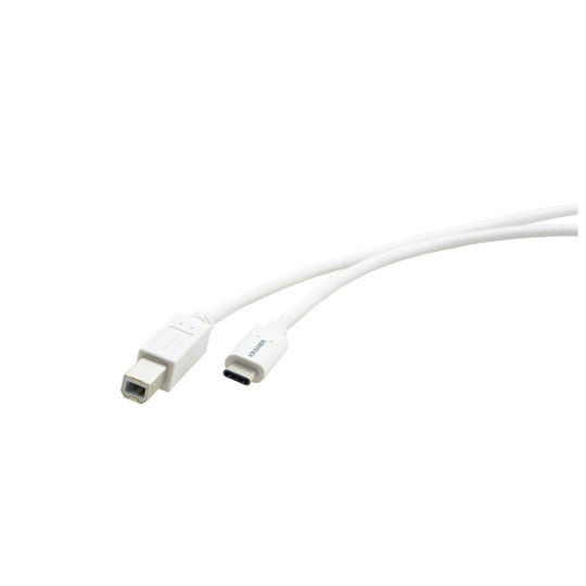 Kramer C-USB/CB-10