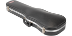 SKB Cases 1SKB-244