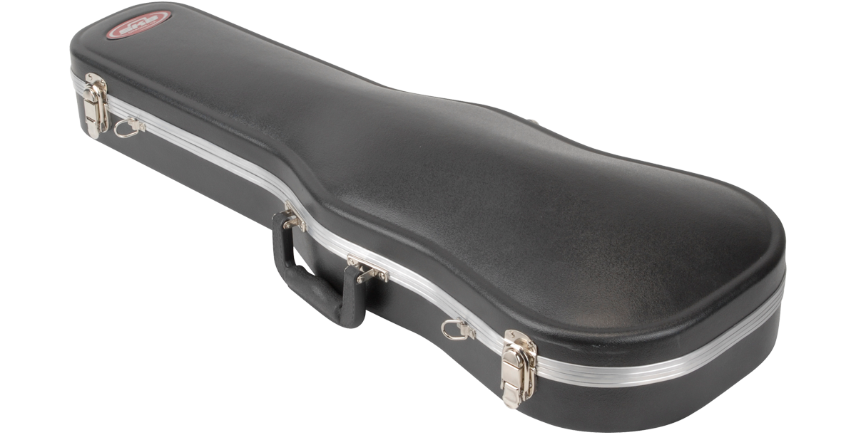 SKB Cases 1SKB-244