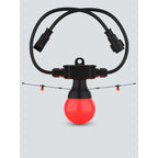 Chauvet DJ FESTOON2RGBEXT