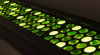 Chauvet Pro OVATIONB2805FC